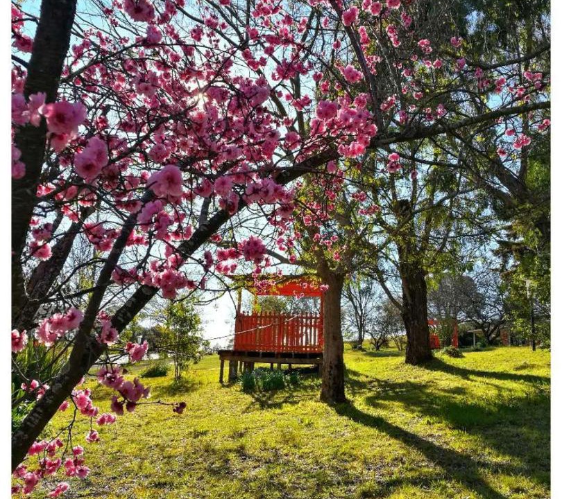 Photo of Others in Braemar