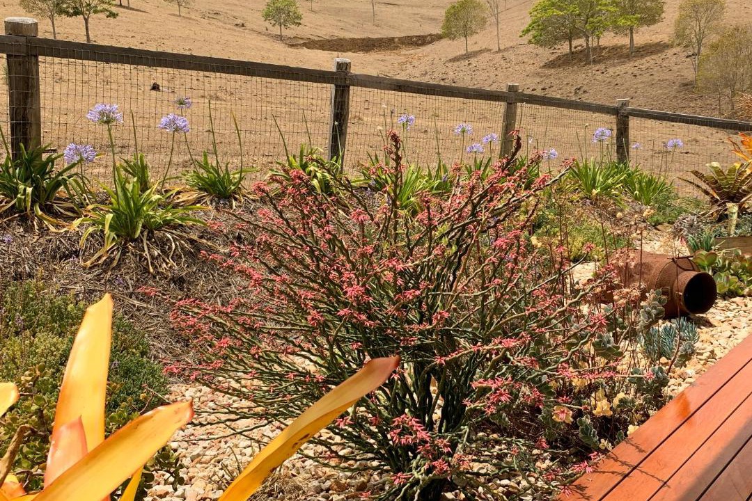 Photo of Others in Flying Fox