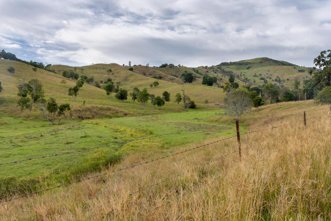 Photo of Others in Flying Fox