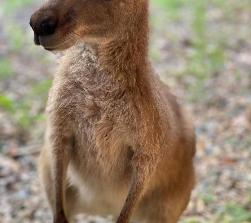 Photo of Others in Pomona