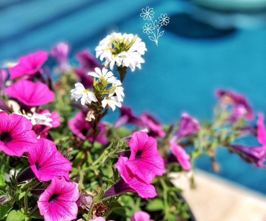 Photo of Others in Ferrieres-la-Verrerie