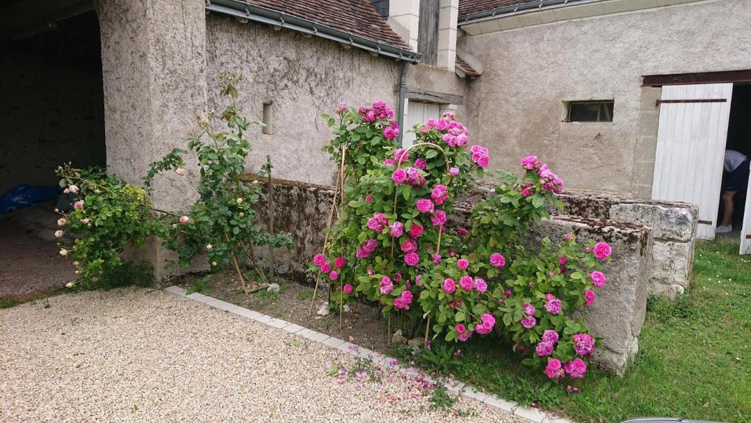 Photo of Buildings in Saint-Jean-Saint-Germain