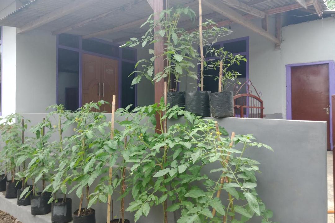 Photo of Others in Kecamatan Pringgasela