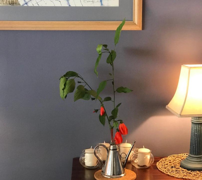 Photo of Others in Eagle Heights