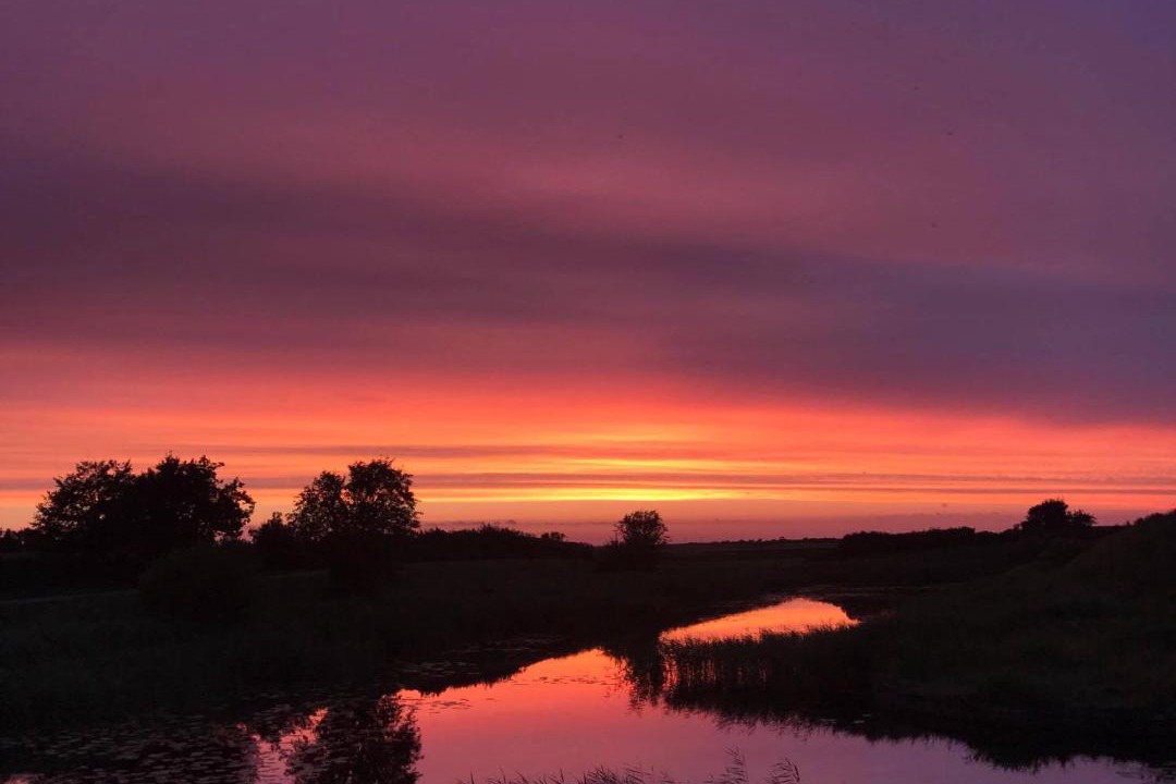 Photo of Others in Ribe