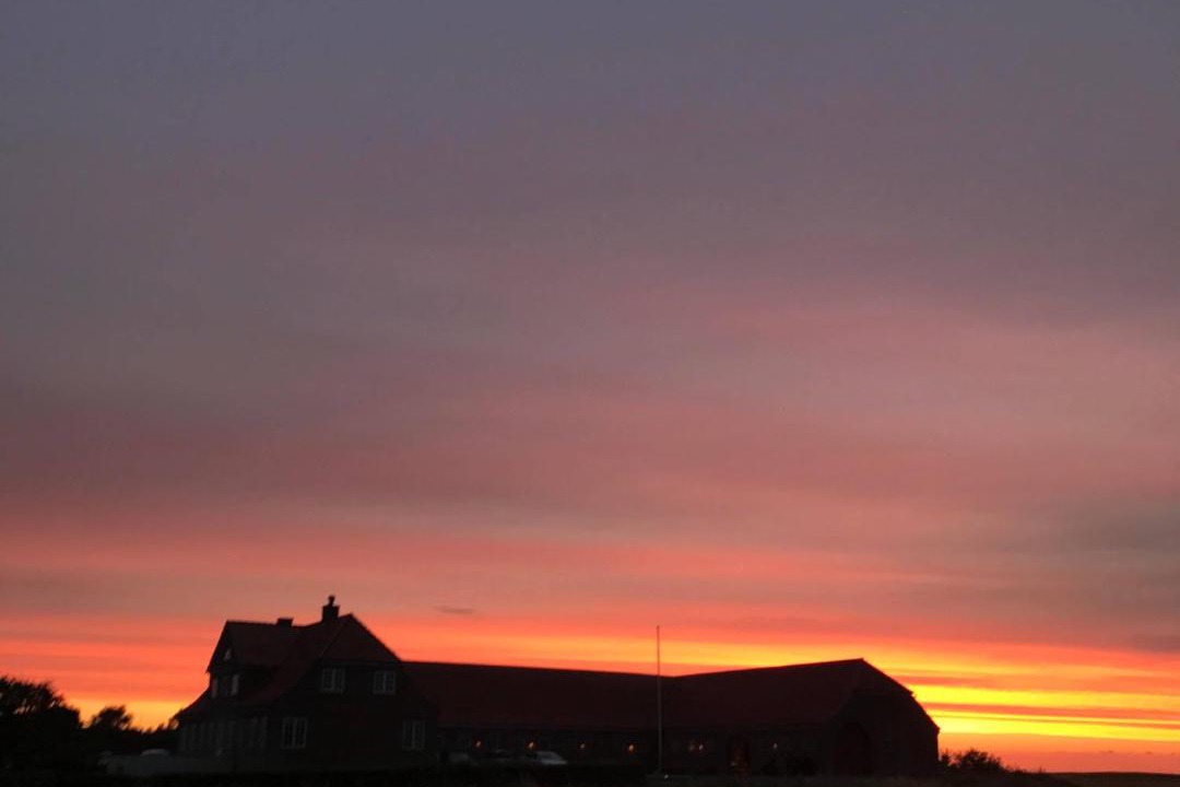 Photo of Others in Ribe