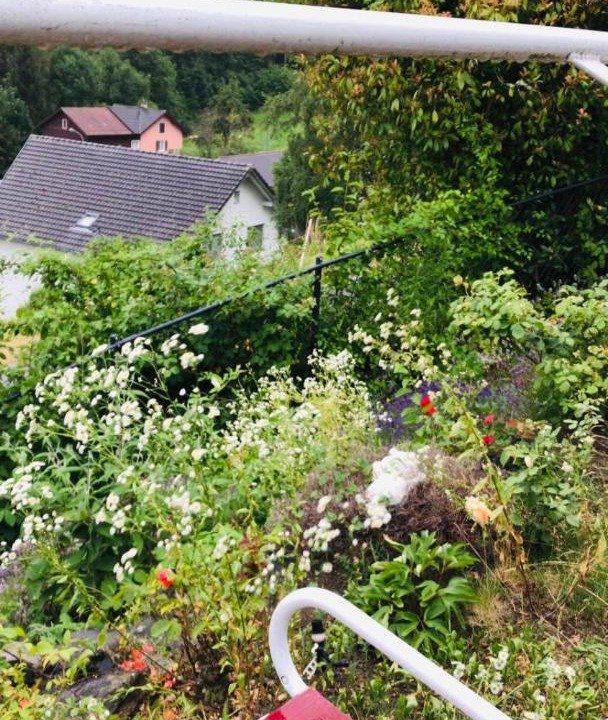 Photo of Others in Buchs