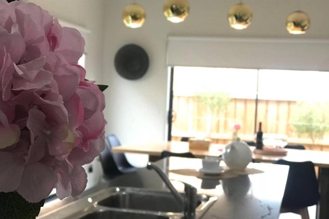 Photo of Others in Williams Landing