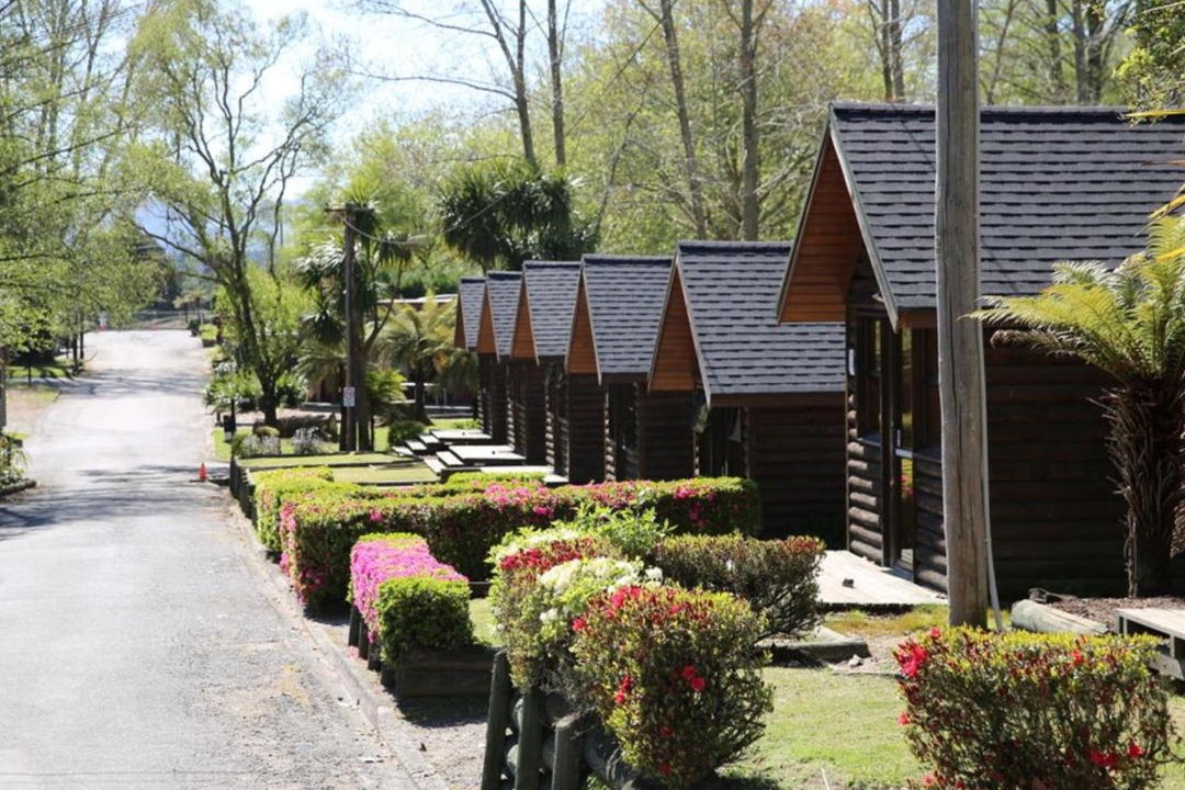 Photo of Others in Springfield