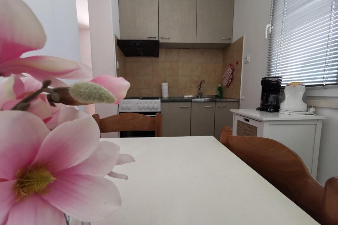 Photo of Kitchen in Vela Glavica