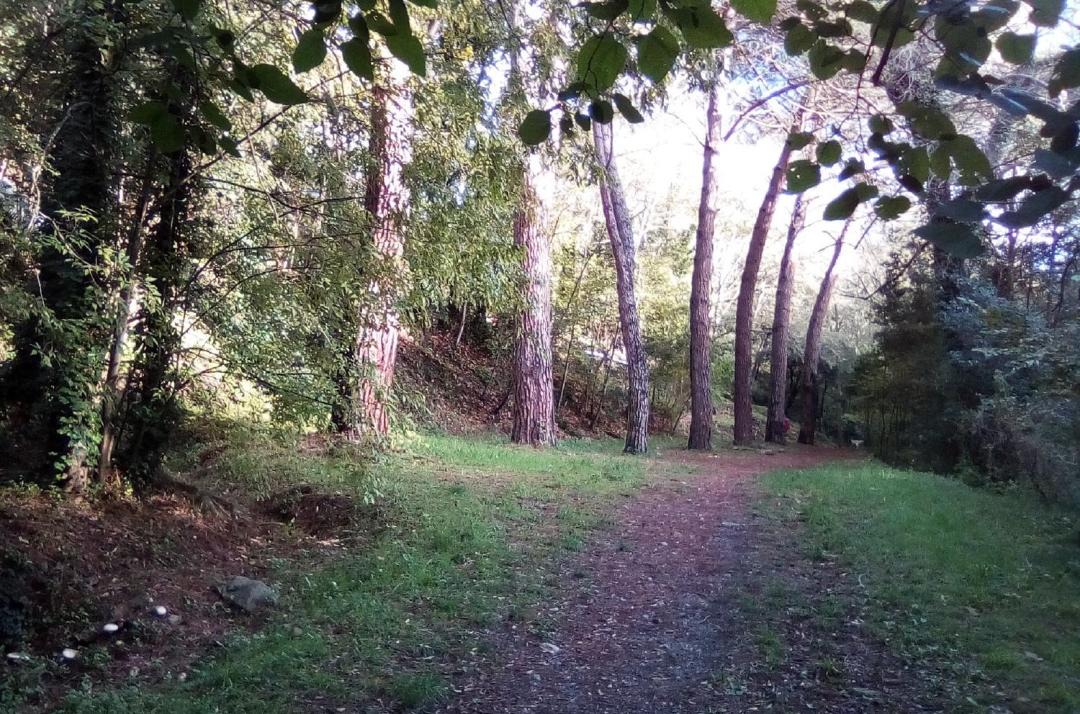 Photo of Outdoor in Maureillas-Las-Illas