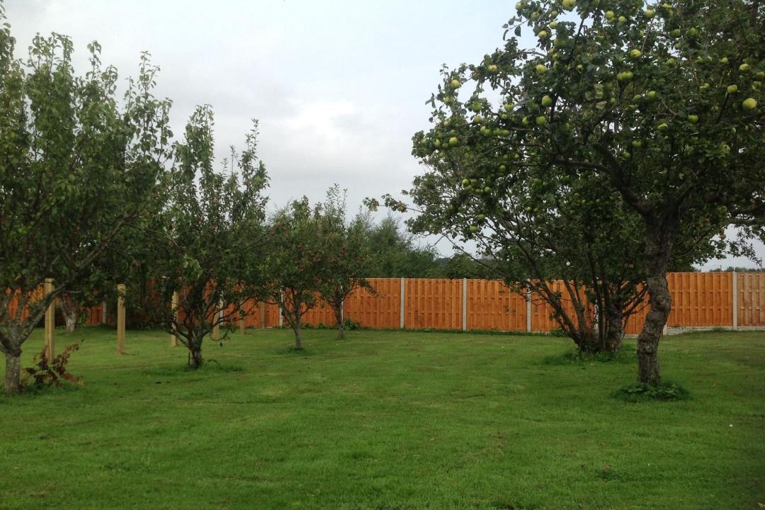 Photo of Others in Bangor