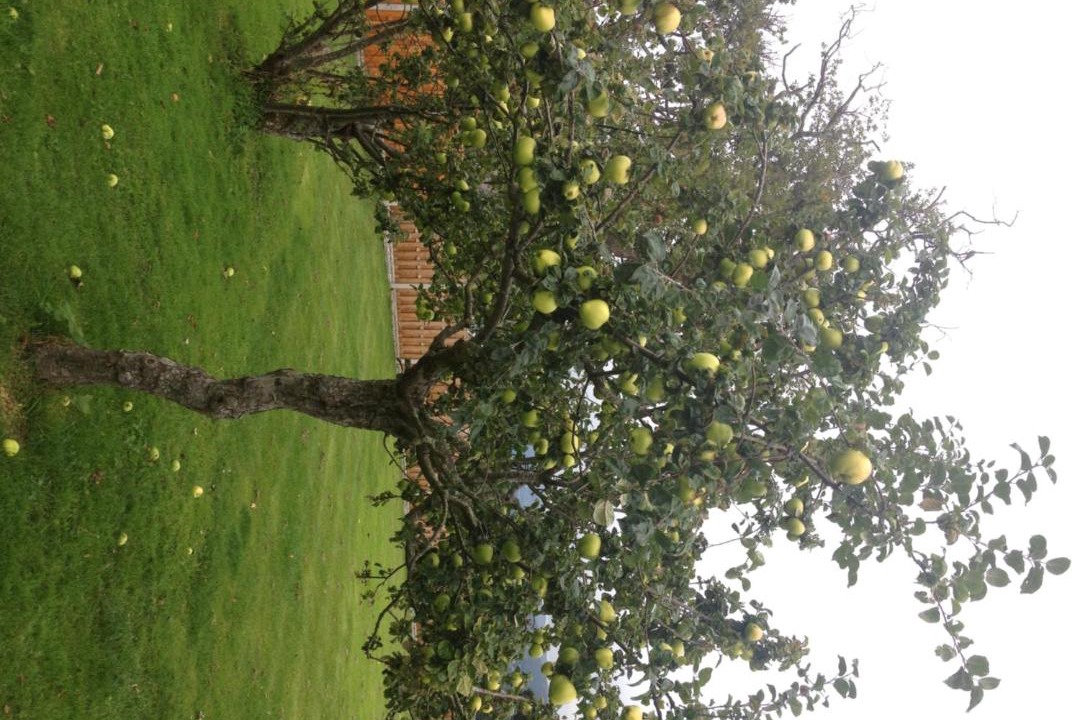 Photo of Others in Bangor