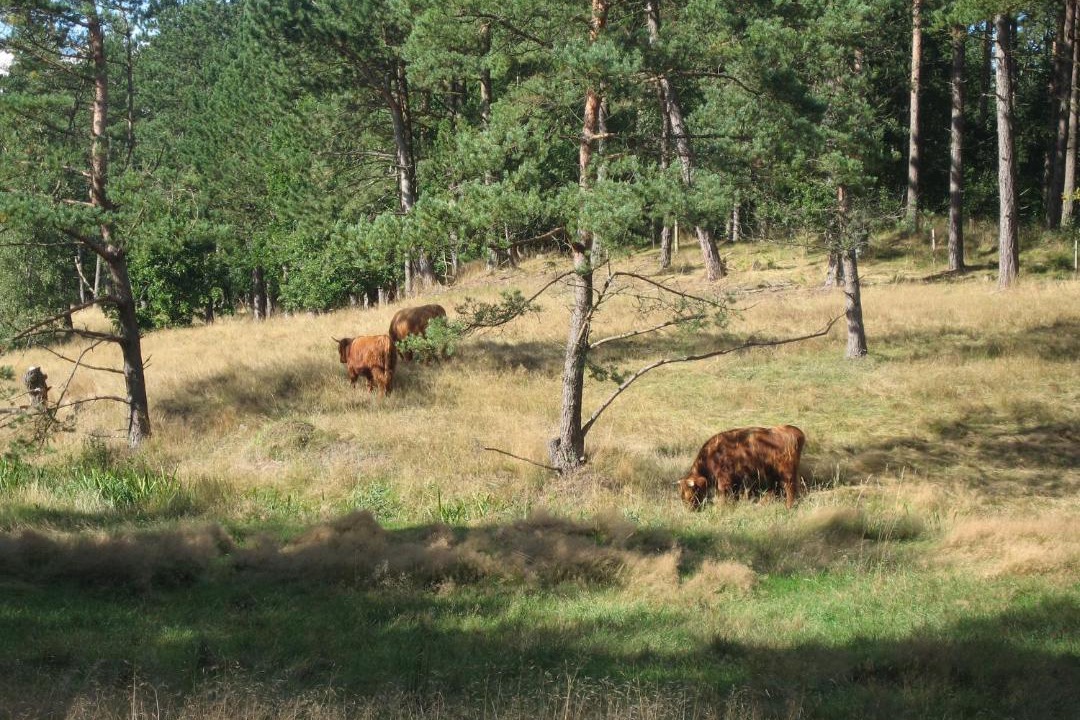 Photo of Others in Øksenmølle