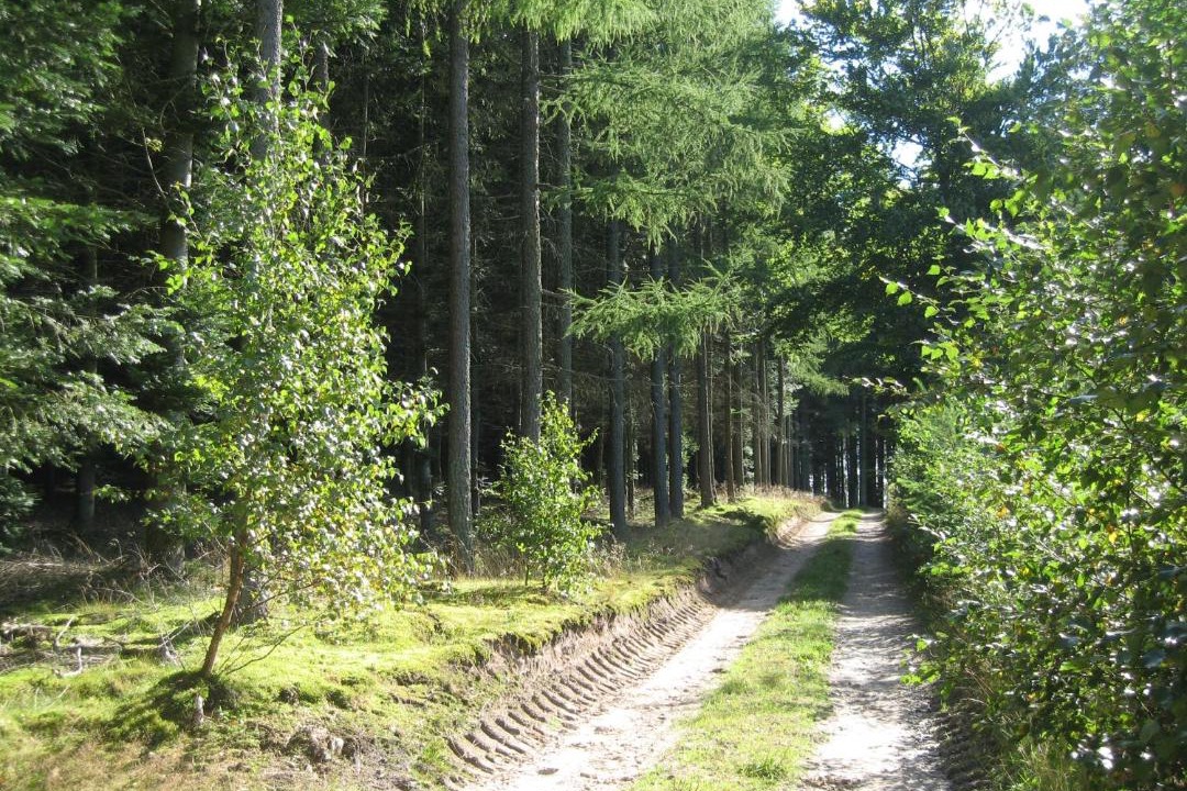 Photo of Others in Øksenmølle