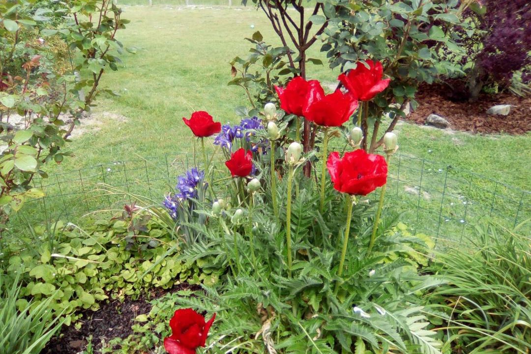 Photo of Outdoor in Pruniers-en-Sologne