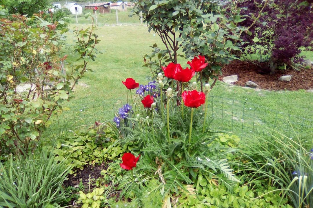 Photo of Outdoor in Pruniers-en-Sologne