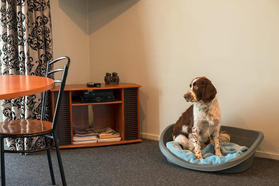 Photo of Others in Ashburton