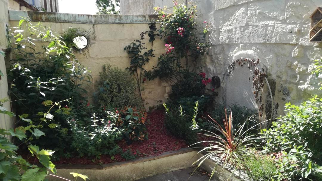 Photo of Others in Bourgueil