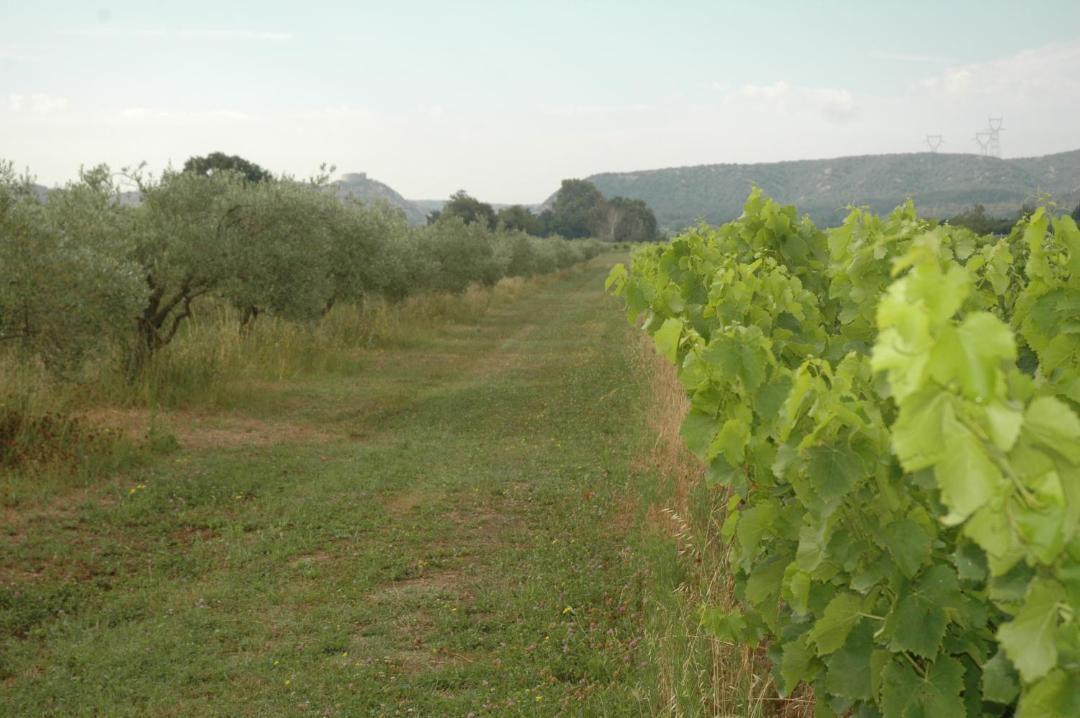 Photo of Others in Saint-Paul-les-Fonts