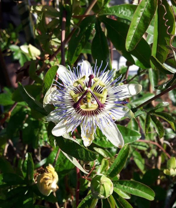 Photo of Others in Soulignac