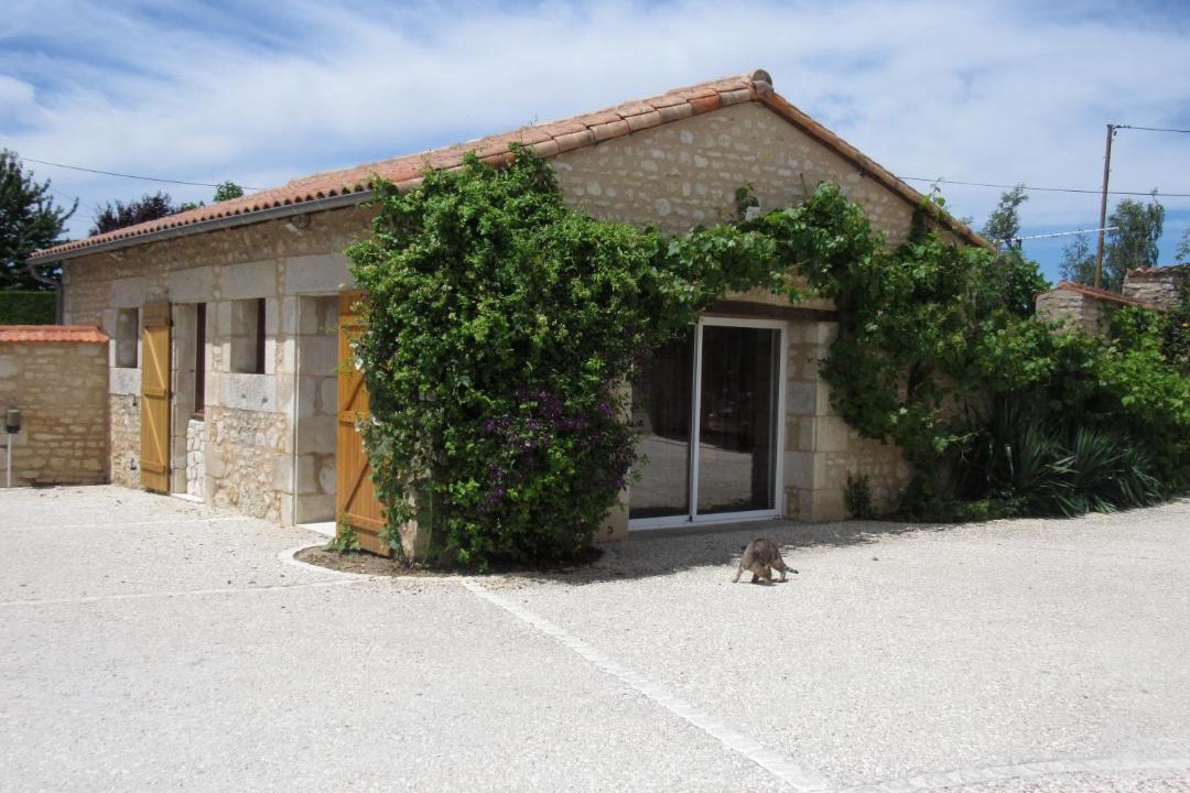 Photo of Others in Chauvigny