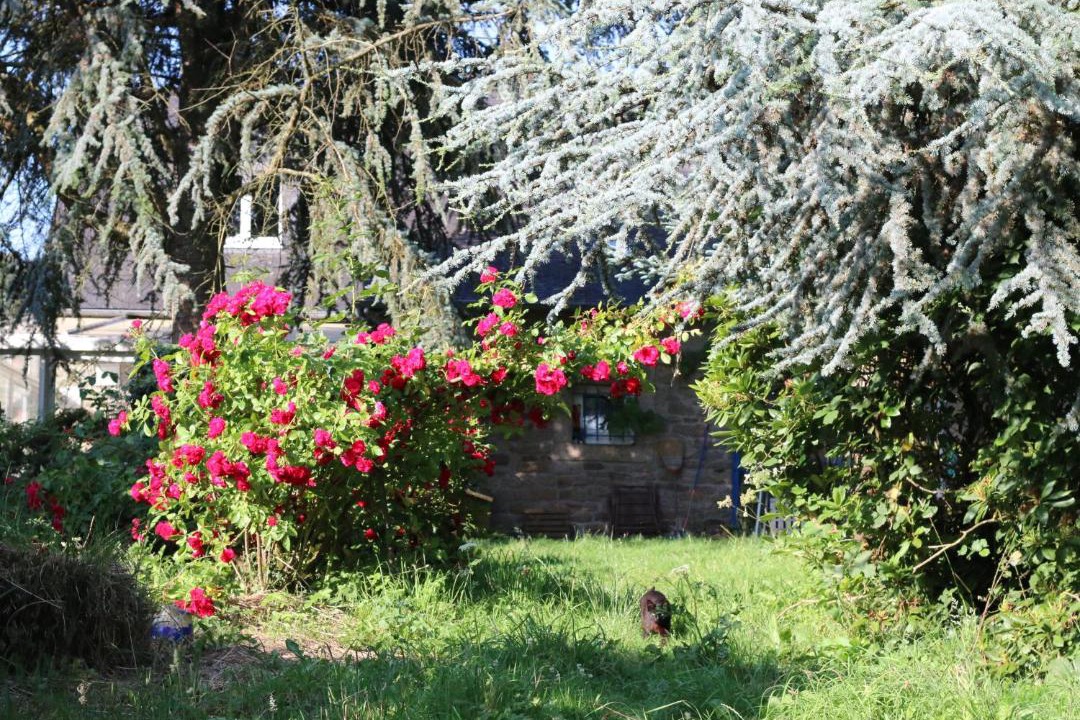 Photo of Others in Kergonan