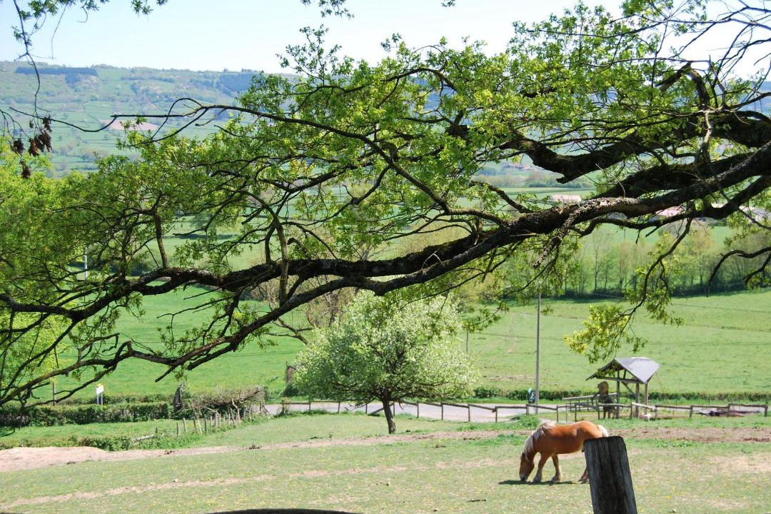Photo of Others in Montagny-sur-Grosne