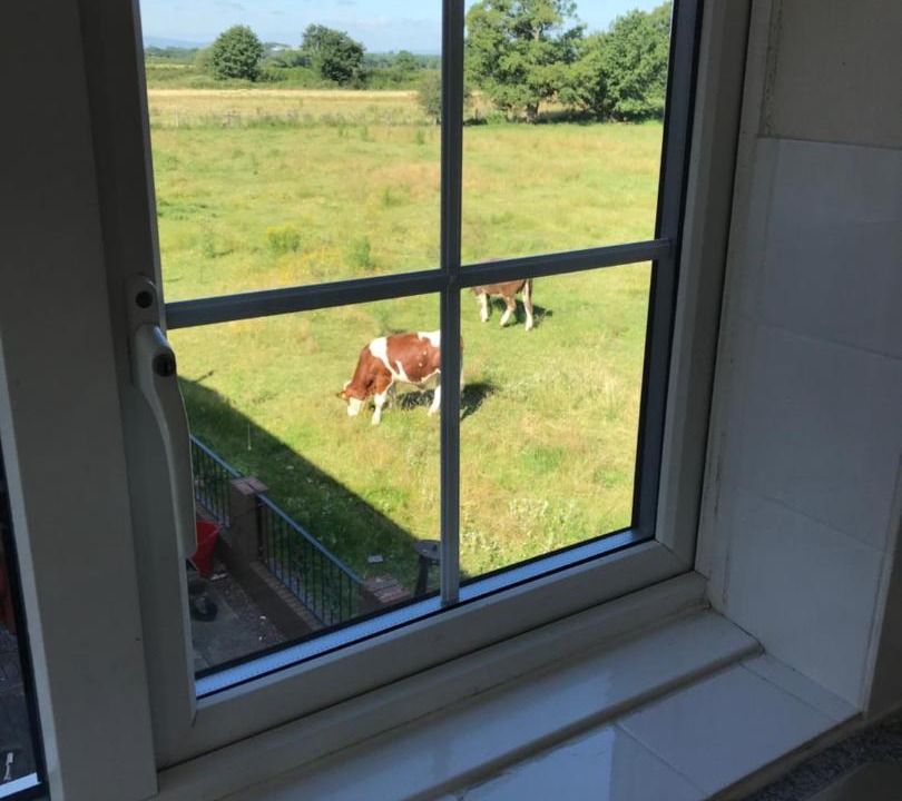 Photo of Others in High Ercall