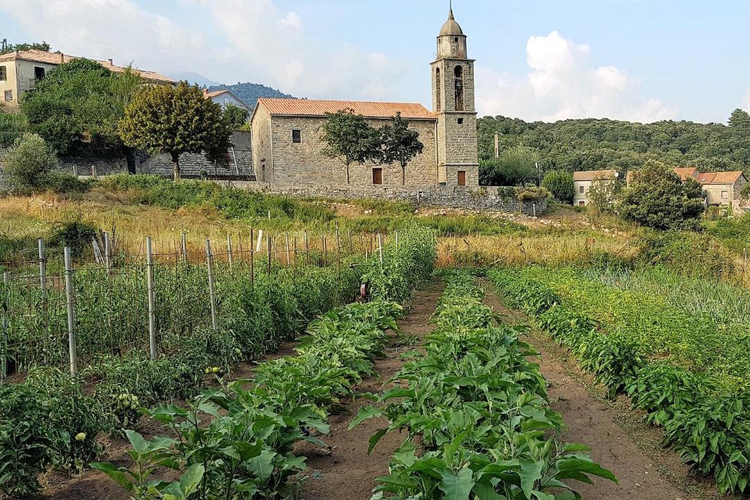Photo of Others in Guitera-les-Baines