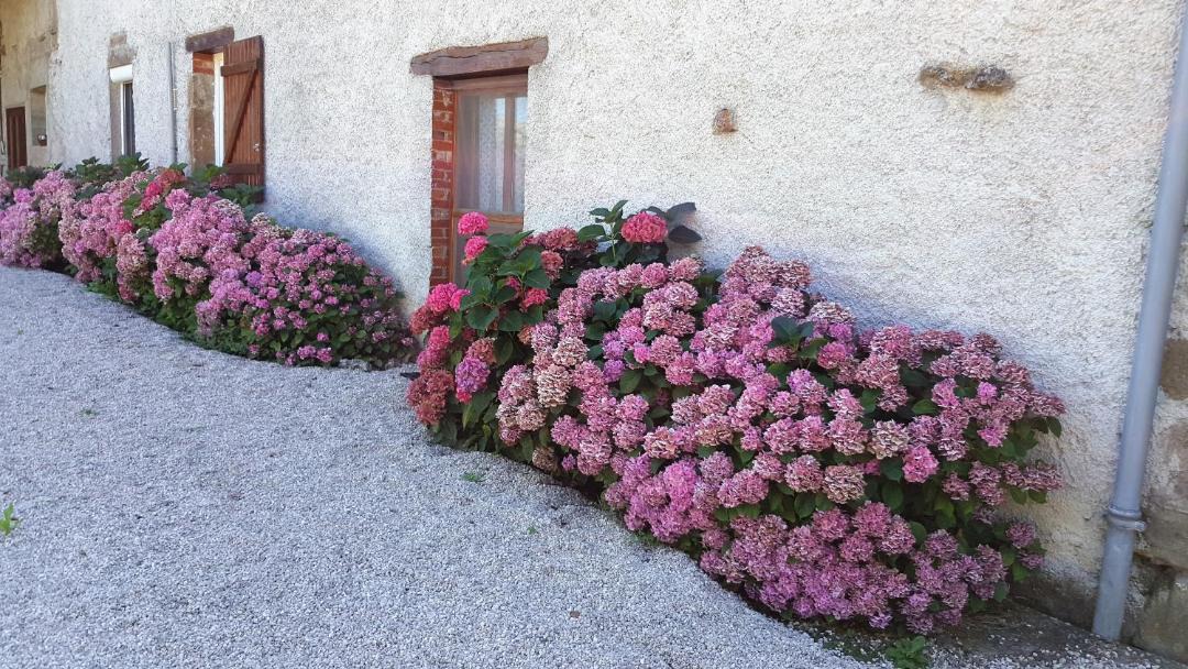 Photo of Buildings in Longecourt-les-Culetre