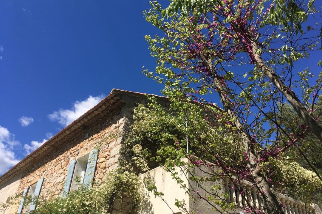 Photo of Buildings in Taradeau
