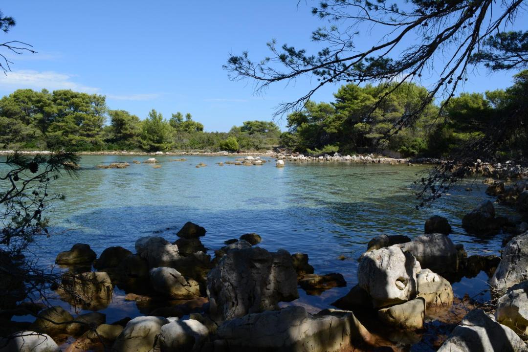 Photo of Others in Molat