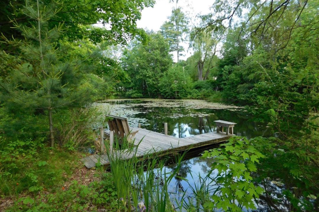 Photo of Others in North Creek