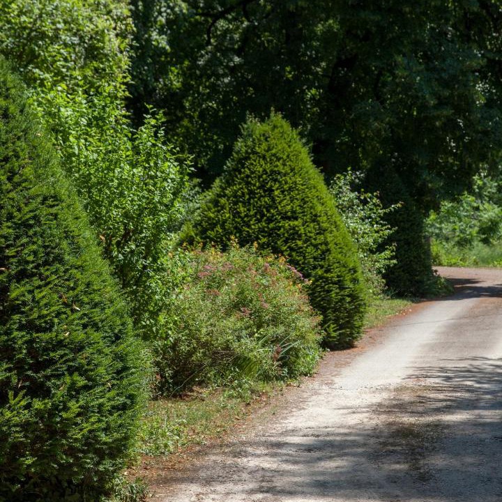 Photo of Others in Carsac-Aillac