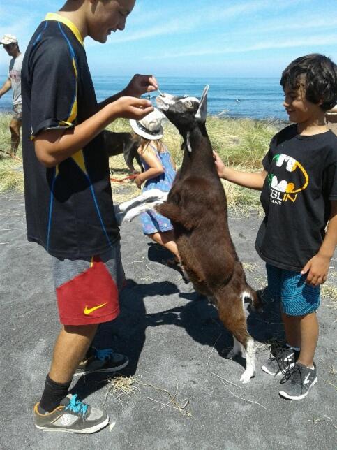 Photo of Others in Ngawi