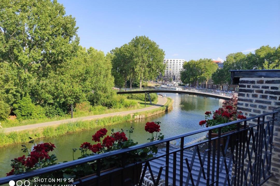 Photo of Others in Saint-Leu