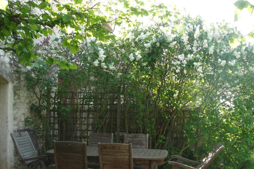 Photo of Others in Quinson