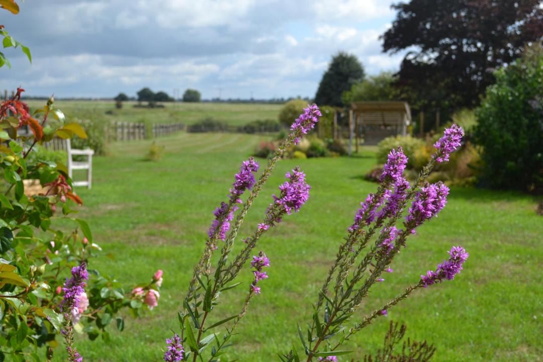 Photo of Others in Brackley