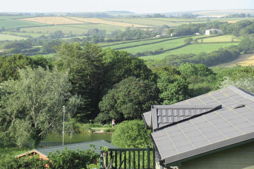 Photo of Others in White Cross