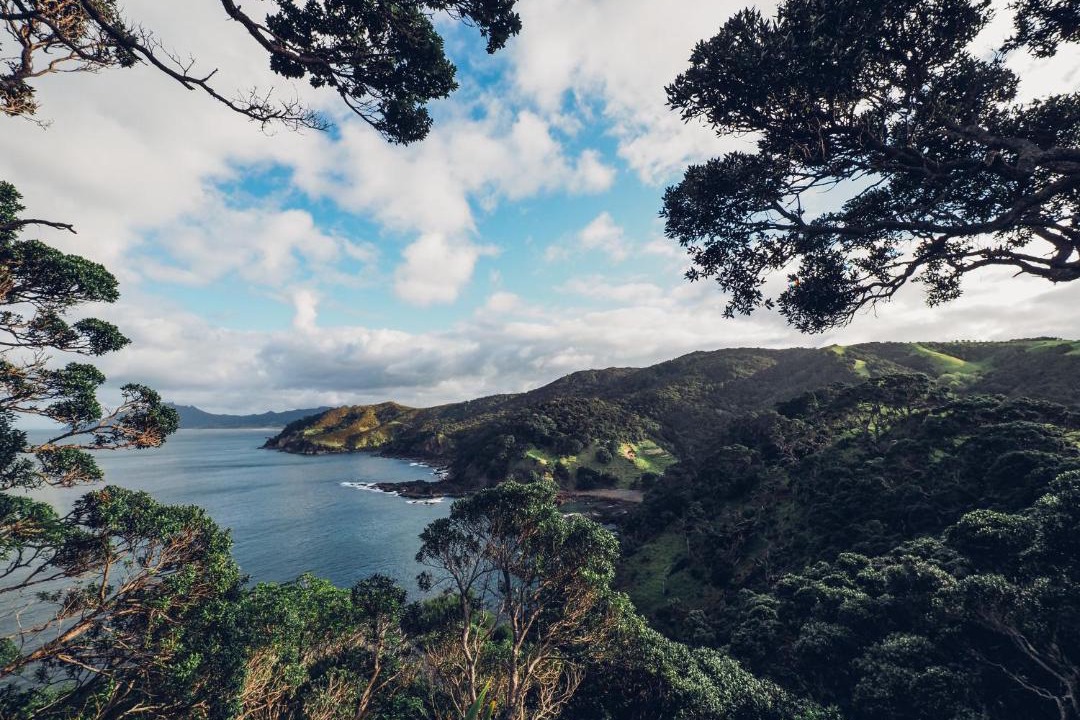 Photo of Others in Taiharuru