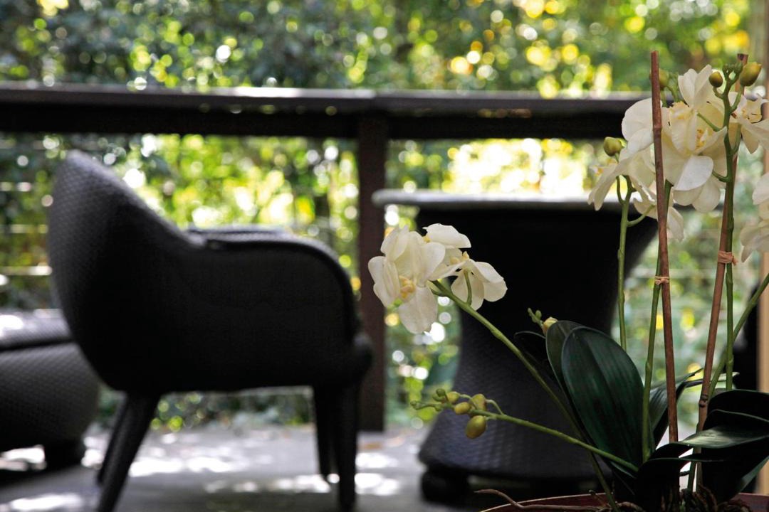 Photo of Others in North Tamborine