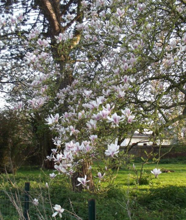 Photo of Others in Ferfay