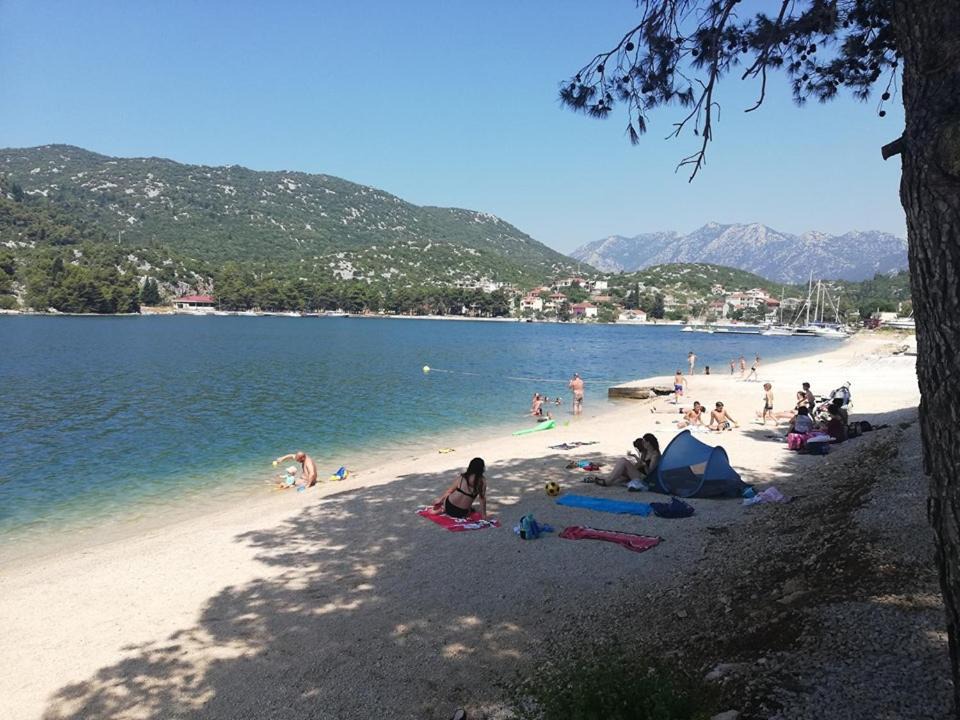 Photo of Others in Ploce