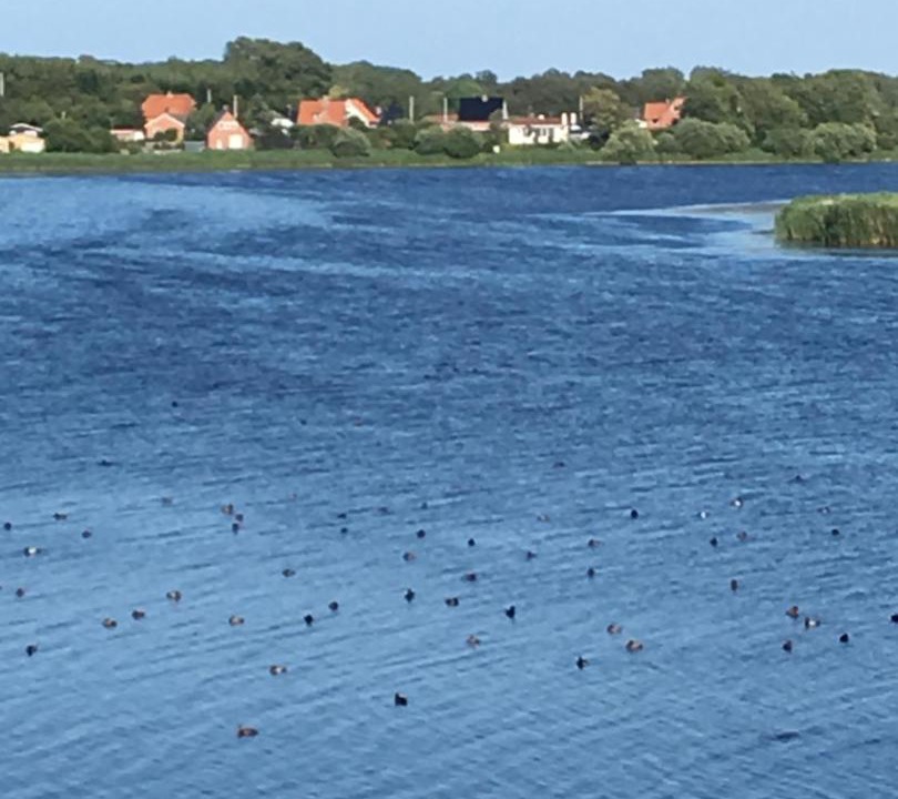 Photo of Outdoor in Nordborg