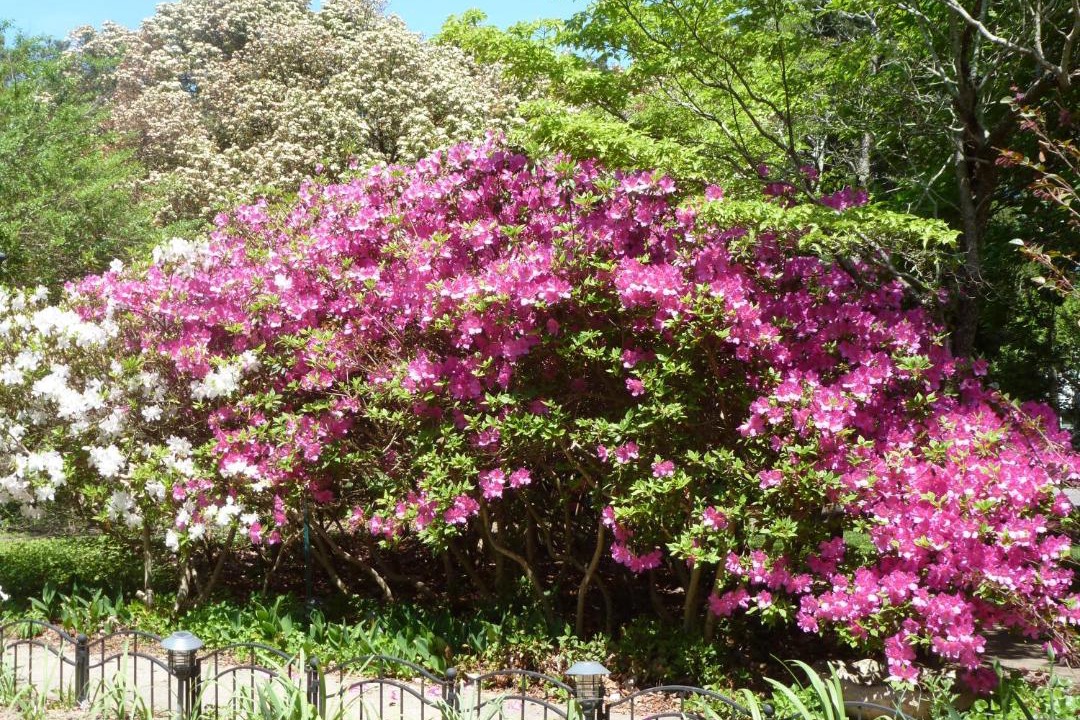 Photo of Others in Kilmarnock