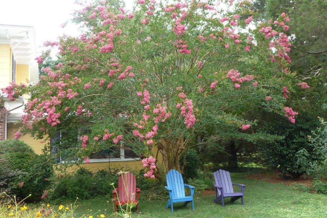 Photo of Others in Kilmarnock