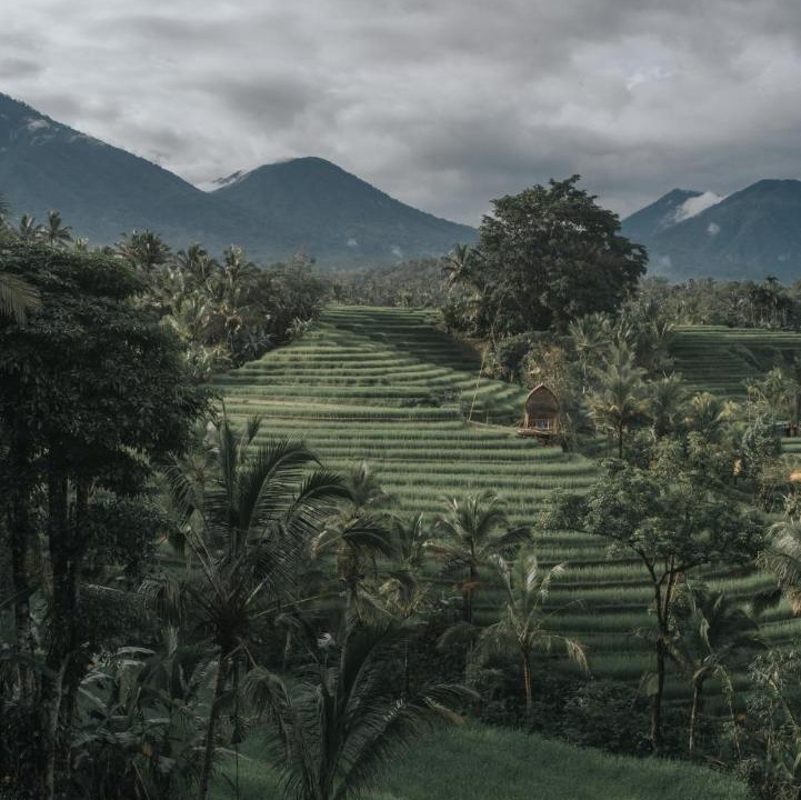 Photo of Outdoor in Penebel