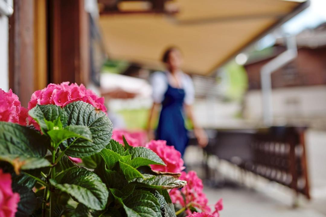 Photo of Others in Zweisimmen Nr Gstaad