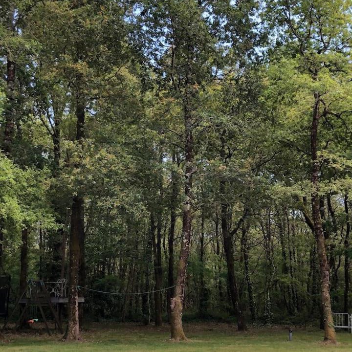 Photo of Outdoor in Saint-Vivien-de-Medoc